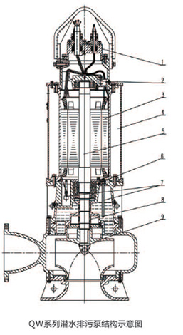 金狮贵宾会·宾至如归-尊贵显赫