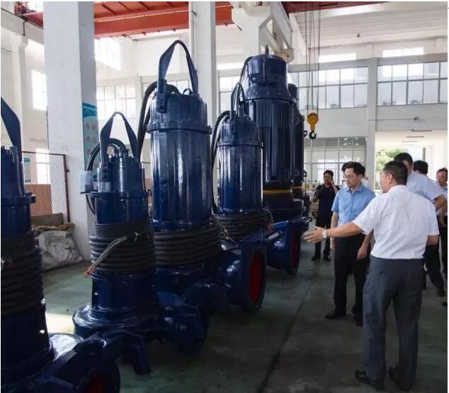 金狮贵宾会·宾至如归-尊贵显赫